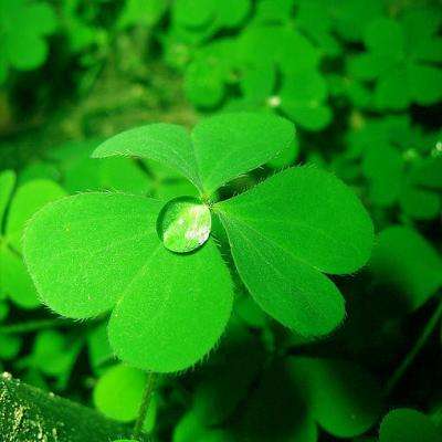 牛牛游戏网下载手机版